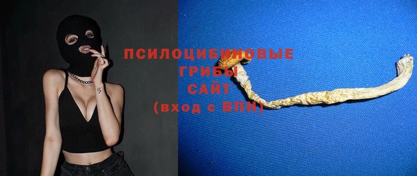 винт Армянск
